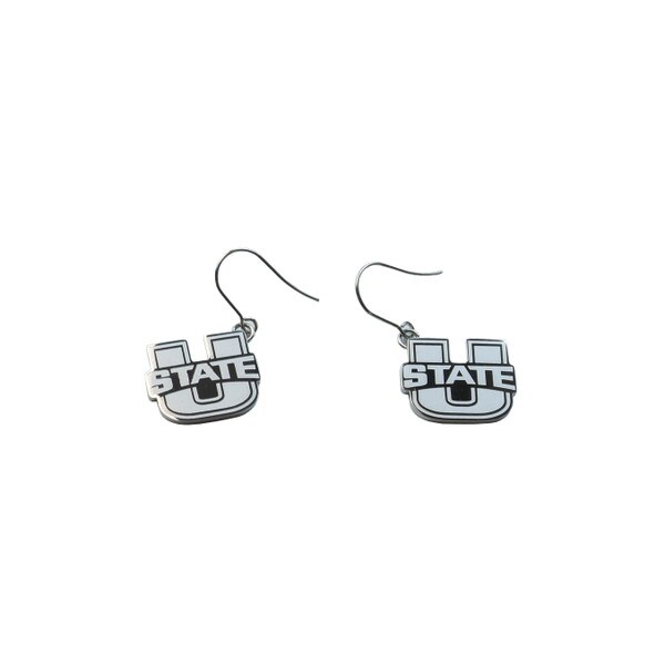 U-State Stainless Steel Silver Earrings Dangle